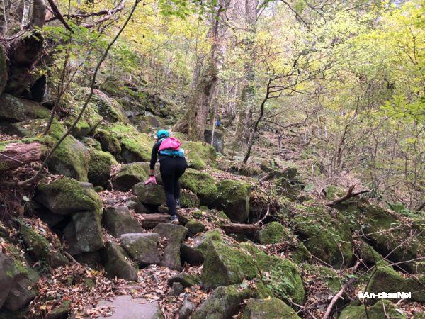 【英彦山 】日本三彦山制覇 !! 高住神社から北岳・中岳・南岳の三峰登頂♪