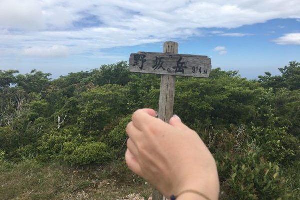 【野坂岳】福井県敦賀市の最高峰!梅雨入り前に敦賀富士から見下ろす絶景！