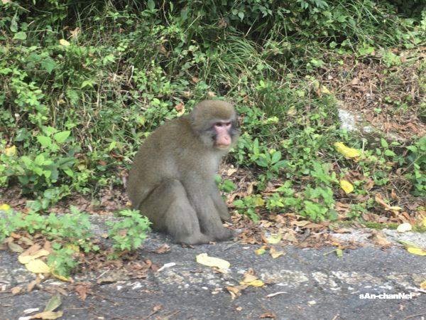 【御嶽山】三笠山・清滝・百草丸『神の里路』立ち寄りスポット♪