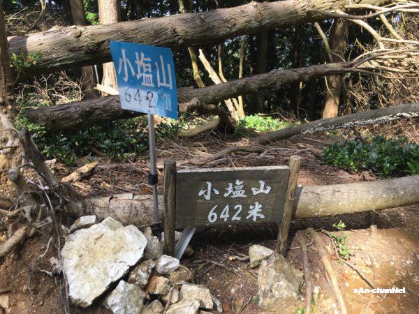 【小塩山】大原野神社から竹林の登山道で淳和天皇陵へ♪