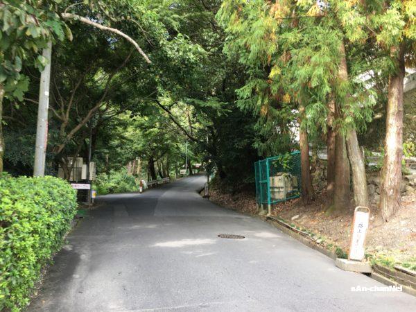 【比叡山】最高峰『大比叡』へ大原登山口から本坂コースで日帰りハイク♪