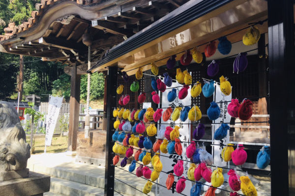 【天王山50回登頂チャレンジ 11/50】山崎聖天登山口から目指す5ヶ月ぶりの天王山！