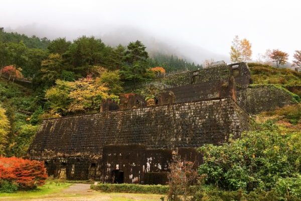 【打見山】徒歩で登る琵琶湖バレイ！山頂は３０万球のスイセンが満開♪