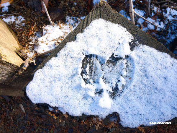 【天王山50回登頂チャレンジ 31-35/50】2020年の締めは雪化粧の天王山!