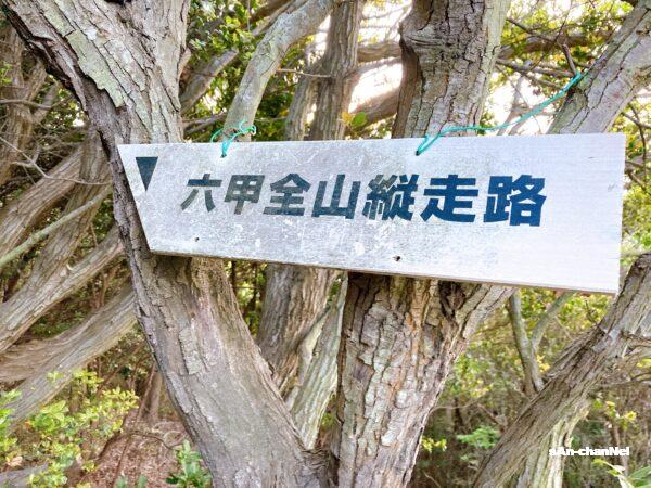 【六甲全山縦走:前編】六甲おろしに負けない蒼天トレイル♪『須磨浦公園駅~鵯越駅編』