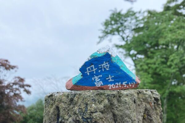【小塩山】大原野神社から竹林の登山道で淳和天皇陵へ♪