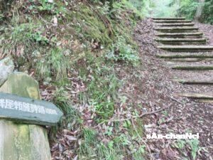 【虎御前山】小谷城攻めの最前線!織田陣営の武将の陣営が遺る戦国ロマンの城址!