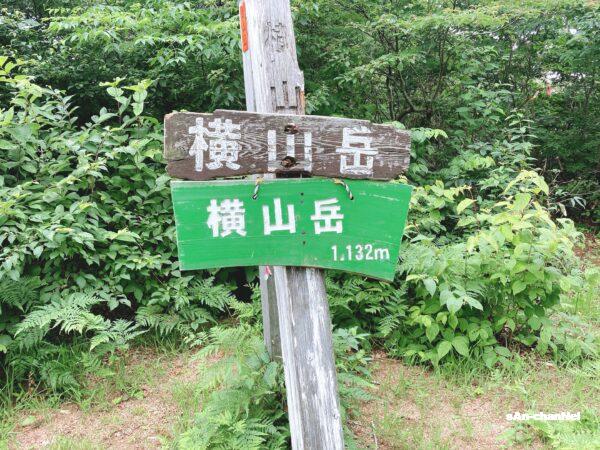 【横山岳】アドベンチャー感たっぷりな白谷本流コースから東尾根コースで下る周回コース♪