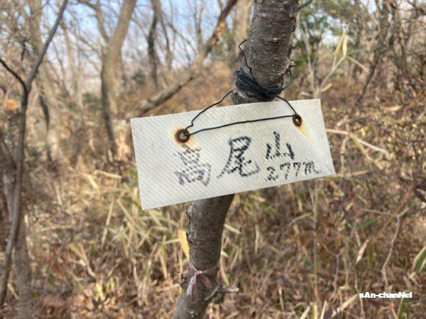 【高尾山】アクセス抜群‼関西の高尾山は水仙が絶賛見頃満開中!