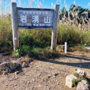 【岩湧山】ススキ越しの美しすぎる青！コスパ良すぎな絶景眺望！！