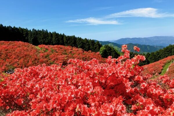 【牛松山】京都･亀岡にある丹波富士♪和らぎの道～元愛宕～牛松山～金刀比羅神社