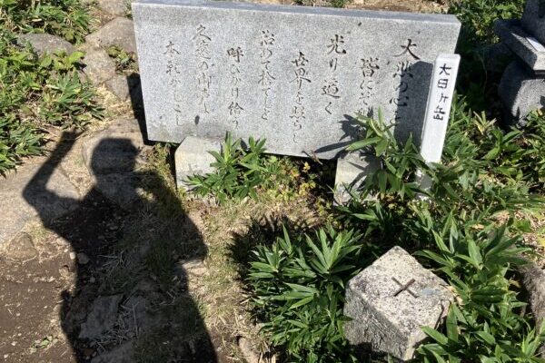 【大日ヶ岳】ひるがの高原コースから爽快尾根歩き！ブナ林と絶景を満喫‼