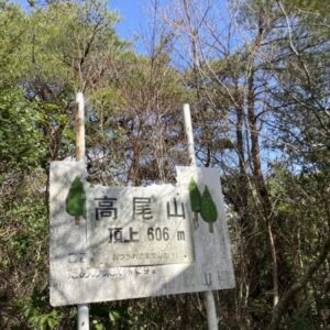 【高尾山】日本一じゃない方！和歌山・奇絶峡から登る絶景！