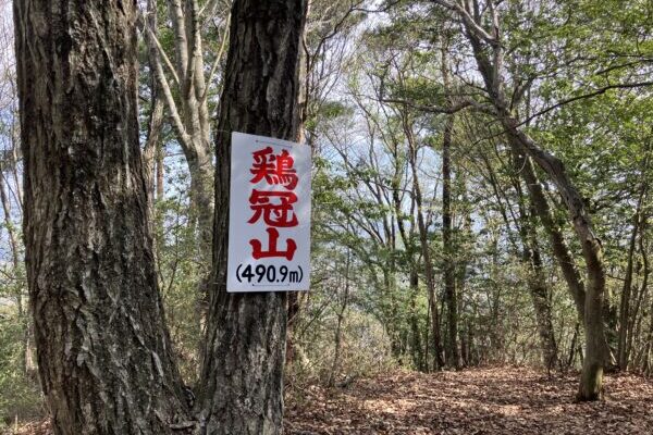 【鶏冠山】今勝アルプスの奇石を巡る軌跡！ピラミダルな天狗岩！