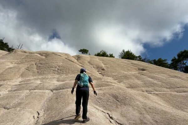 【岳山】リトル比良最北の岳山から鳥越峰〜見張山 への周回コース♪
